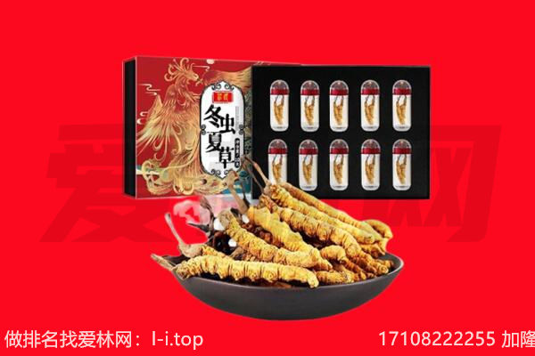 乃东区回收虫草.jpg